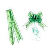 Издърпваща се панделка в зелен цвят - опаковка от 10 броя 3,2x47cm, ACC19V
